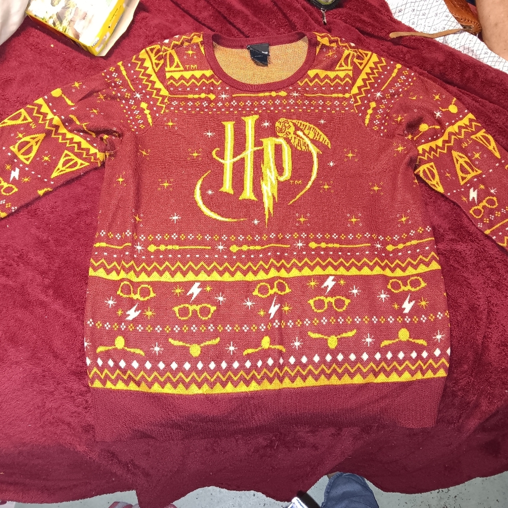 Torrid Harry Potter Sweater
